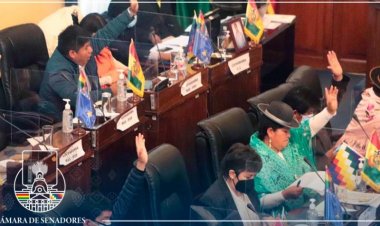 El pleno de la Cámara de Senadores otorga reconocimiento al Instituto Plurinacional de Estudios de Lenguas y Culturas