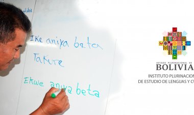 TALLER NACIONAL SOBRE LA PARTICIPACION DE LOS PUEBLOS INDIGENAS EN LOS MECANISMOS INTERNACIONALES