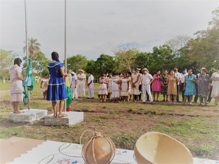 Actualizar artículo