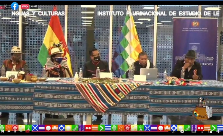 Instituto Plurinacional de Estudio de Lenguas y Culturas