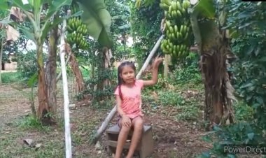 IPELC – DÍA DE LA NIÑA Y EL NIÑO DEL ESTADO PLURINACIONAL DE BOLIVIA -12 DE ABRIL  ILC – MORE