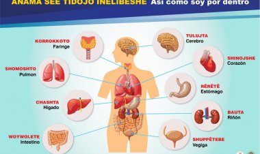 Amumay inelibëshe ta dojo