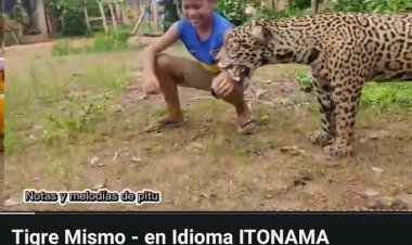 CANCION TIGRE MISMO - IDIOMA ITONAMA