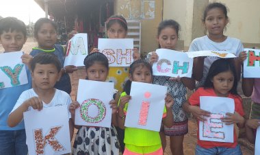 El IPELC,  ILC/Joaquiniano realiza actividades en el Desarrollo de la lengua usando diferentes estrategias de acuerdo a la situación de la lengua de cada nación.