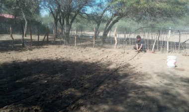 LA NACIÓN TAPIETE IMPLEMENTA RIEGO TECNIFICADO EN LA PRODUCCION