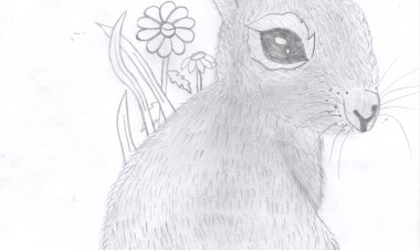 ESTUDIANTES REALIZAN DIBUJOS DEL CONTEXTO TAPIETE