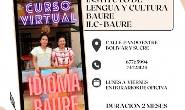 CURSO VIRTUAL DE IDIOMA BAURE NIVEL BASICO 2024